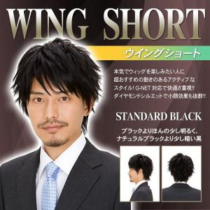 メンズウィッグ 男性用 かつら コスプレ ファッション イベント ラパンドアール/ ヘアネット付き  ウイングショート（スタンダードブラック） （5765）｜p-kaneko