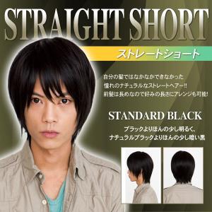 ヘアネット付 ラパンドアールオム ストレートショート ローライト