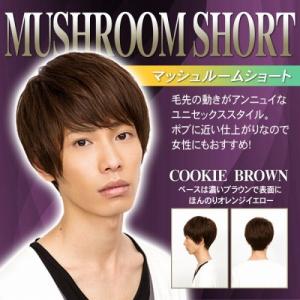 ヘアネット付 ラパンドアールオム フェザーショート ローライト
