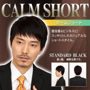 メンズウィッグ 男性用 かつら コスプレ ファッション