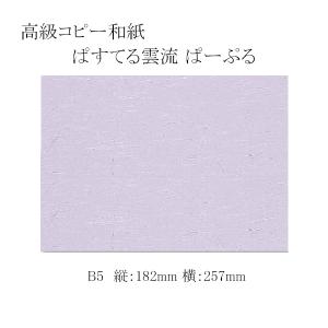 “ゆうパケット対象” 高級コピー和紙 ぱすてる雲...の商品画像