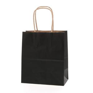 手提げ紙袋 25チャームバッグ MS1 緑 (巾270 マチ80 高さ340) 10枚