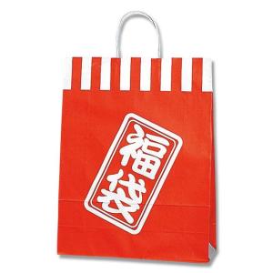 手提げ紙袋 福袋 カスタムB (巾380 マチ150 高さ500) 10枚