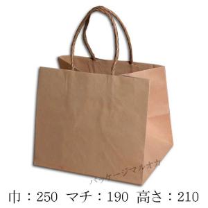 手提げ紙袋 W判 未晒無地 120g 丸紐 300mm巾 (巾300 マチ150 高さ300