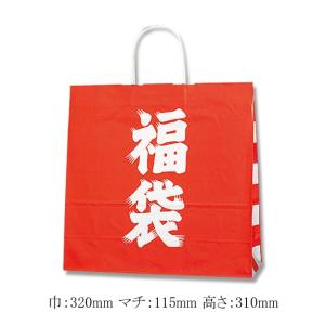 パックタケヤマ 手提袋 HX 福袋 10枚 ラッピングバッグ 紙袋 定番 業務