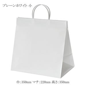 地域で無料/直送” 高級手提げ紙袋 プレーンベージュ（特小） (巾320