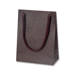 手提げ紙袋 カラーチャームバッグ T-4 ブラウン (巾120 マチ70 高さ165 アクリル紐) 10枚｜p-maruoka