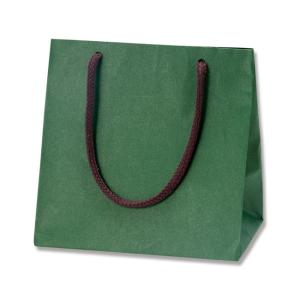 手提げ紙袋 カラーチャームバッグ MW グリーン (巾160 マチ110 高さ160 アクリル紐) 10枚｜p-maruoka