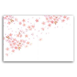 尺五まっと花雅 HM-5 桜（2月〜4月）テーブルマット ランチョンマット 500枚｜p-maruoka