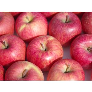 否バラ詰め 青森県産【B級品・サンふじ・20kg（20キロ）用 木箱 サイズ