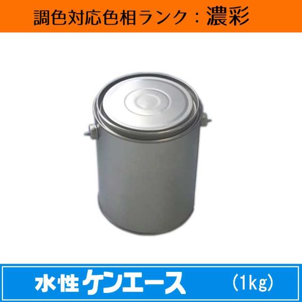 水性ケンエース 濃彩色 1kg 1缶 日本ペイント 日塗工見本帳参照色 調色 ニッペ