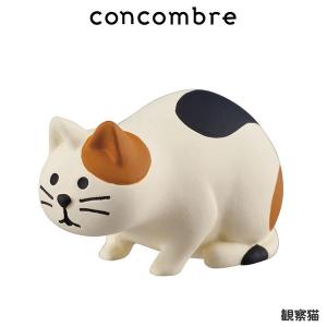 concombre コンコンブル　観察猫　｜p-s