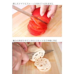 特典付 包丁 グローバル イスト GLOBAL...の詳細画像5