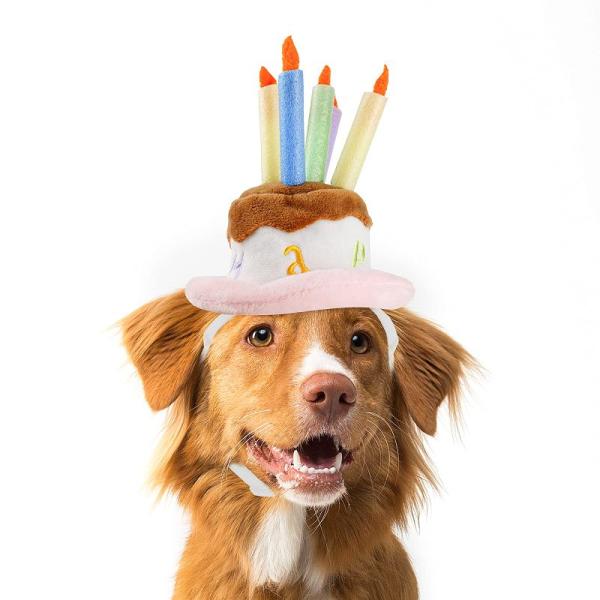 Lesypet 犬 猫 誕生日帽子 ペット用バースデーハット パーティーコスプレ、L
