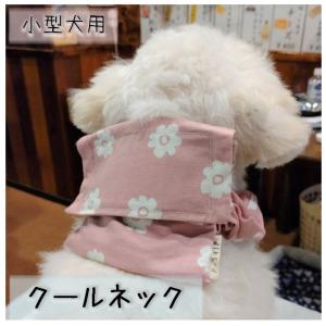 【選べる生地】名入れ刺繍　犬 クールネック ひんやり 保冷剤入れ【小型犬用】ネッククーラー 首元 暑さ対策 熱中症対策 涼感 冷却 かわいい 愛犬グッズ｜p-ship