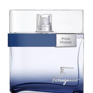 香水 サルヴァトーレ フェラガモ EDT 100mlの買取情報