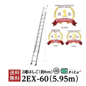 ピカ コーポレイション はしご 梯子 6m アルミ 伸縮 軽量 2連はしご （5.95m） 2EX-60 配送先法人様限定 （法人名や屋号がある場合はご記載ください）｜P-STAR