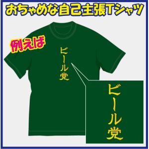 AN 　 NICE(ナイス)Ｔシャツ　6着 ナイス (nice) Tシャツ / ナイス！な自分に・・おちゃめなT
