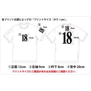 番号入り 半袖ドライTシャツ(15色/9サイズ...の詳細画像2