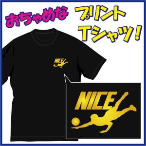 送料無料（メール便）ナイスレシーブ(NICE) Tシャツ（バレーボール編