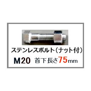 ステンレス製 SUS ボルト ナット付 M20 首下 長さ 75mm M 20×75 六角ボルト Mネジ ナット セット