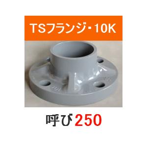 塩ビ TSフランジ JIS 10K 呼 250 プラスチック 樹脂 塩化ビニール｜p1-shop