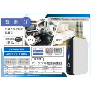 ポータブル酸素発生器 家庭用 コンパクトサイズ 酸素吸入 RS-E1836｜pa-shop