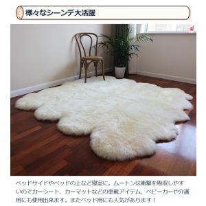 オーストラリア産 高級天然ムートンラグ 8匹物...の詳細画像4