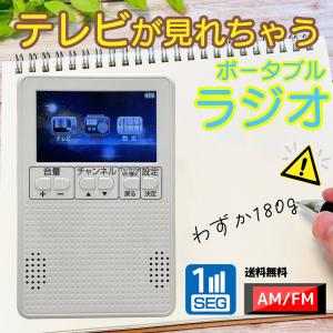 TOSHIBA レグザサウンドシステム サブウーファー REGZA RSS-AZ55