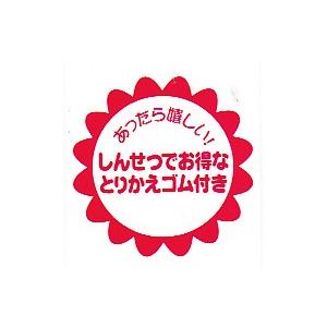 日本製 吸水パンツ【2枚組】女性用 尿漏れ 失...の詳細画像5