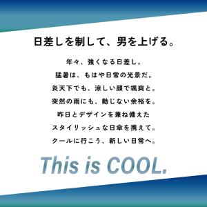 Wpc. IZA Type Compact Z...の詳細画像1