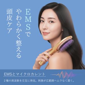 ウェーブウェーブ EMS Brush Air ...の詳細画像3