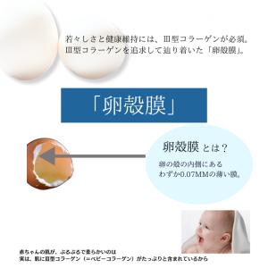 アルマード III型 3型 卵殻膜 ドリンク ...の詳細画像2