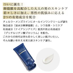 チェルラー ファルコ パーフェクトクリーム 4...の詳細画像2