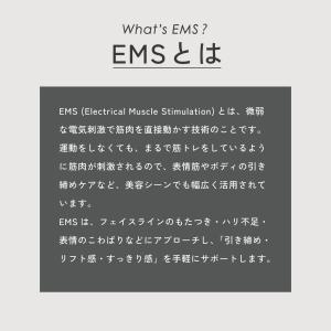 SALONIA サロニア EMSリフトブラシ ...の詳細画像2