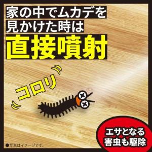 ムカデコロリ 1プッシュ式スプレー 80回 3...の詳細画像4