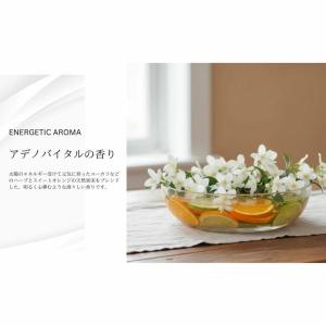 資生堂 アデノバイタル アドバンスト スカルプ...の詳細画像5