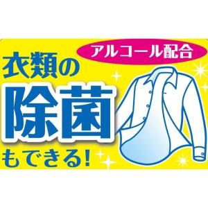 アイスノン シャツミスト 詰め替え アイスキン...の詳細画像2