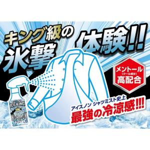 アイスノン シャツミスト 詰め替え アイスキン...の詳細画像3