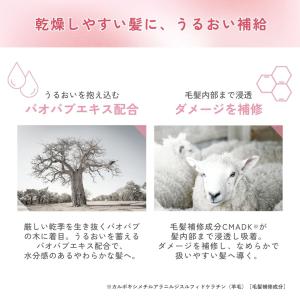 ミルボン エルジューダ エマルジョン MO プ...の詳細画像2