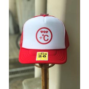 EVISU エヴィス キャップ CAP デニム カモメ ポケット 限定生産