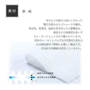 e-style(イースタイル) FSX 抗ウイ...の詳細画像3