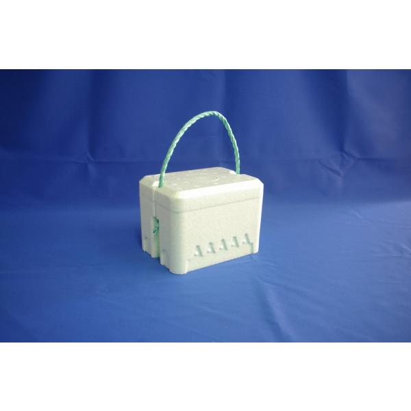 クールボックス新 １kg(グリーン) ミニBOX