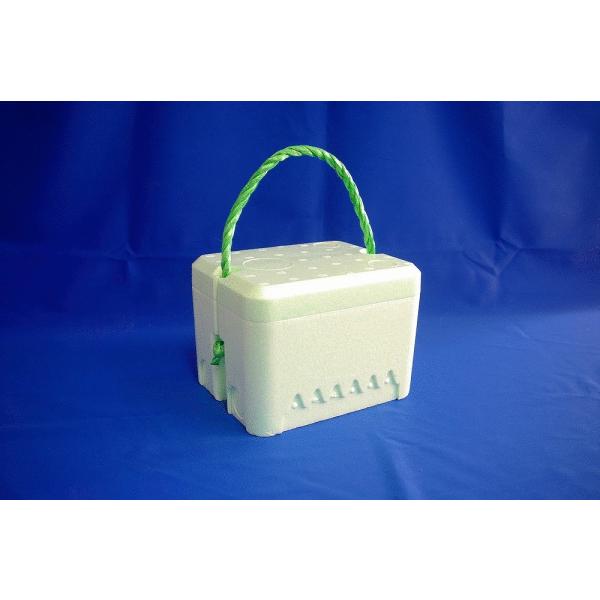 クールボックス新 2kg(グリーン) ミニBOX