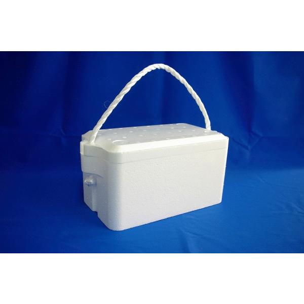 クールボックス ３kg(白) BOX