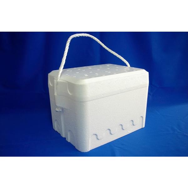 クールボックス ５kg(白) BOX