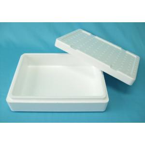 スチロールBOX 1kg 1セット(本体・フタ)...の商品画像