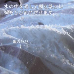 てぬぐい 将棋 駒 文化 王 飛車 角 金 銀...の詳細画像5