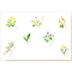 【100枚】高級和紙マット No.308 春野の花 〈尺3〉 3月〜5月 業務用 使い捨て 紙 テーブルマット　100枚入