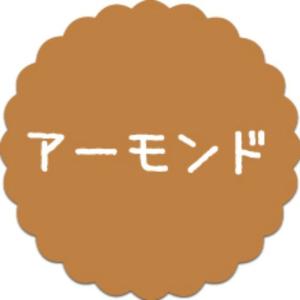 【300枚】SO-67 アーモンド (20×20...の商品画像